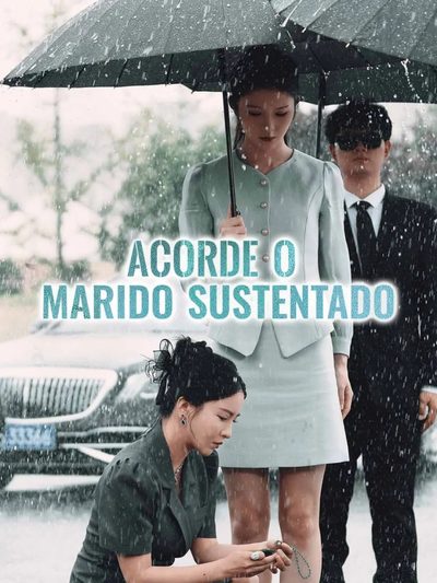 Capa da miniss&eacute;rie Acorde o Marido Sustentado dublado