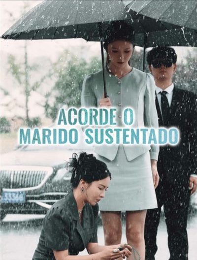Capa da miniss&eacute;rie Acordei o Marido Sustentado