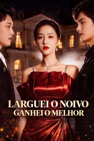 Capa da miniss&eacute;rie Larguei o Noivo Ganhei o Melhor