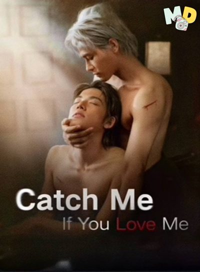 Capa da miniss&eacute;rie O Rato Se Apaixonou Pelo Gato - Catch Me If You Love Me