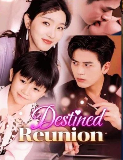 Capa da miniss&eacute;rie Reunião do Destino Destined Reunion