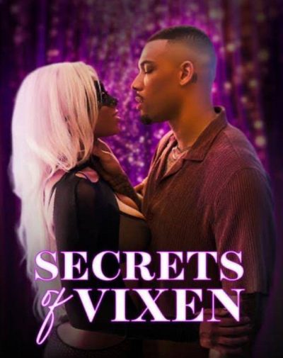 Capa da miniss&eacute;rie Secrets of Vixen