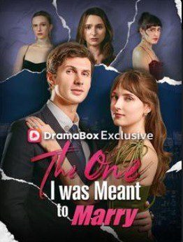 Capa da miniss&eacute;rie The One I Was Meant To Marry a Pessoa com Quem Eu Deveria Me Casar